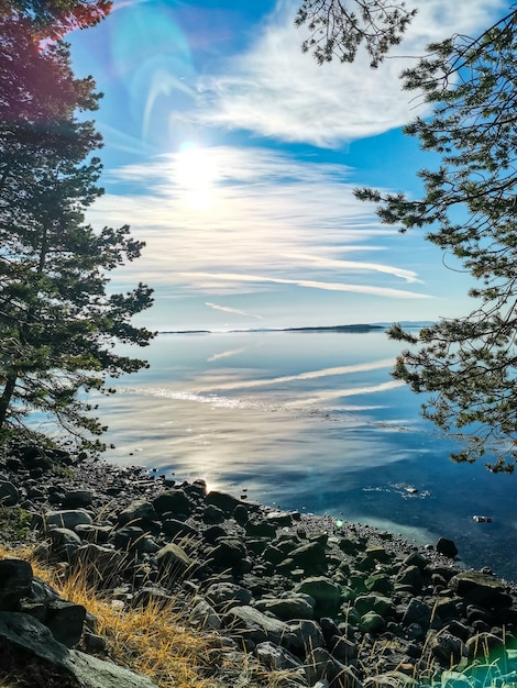 La costa del Mar Blanco con árboles en primer plano y piedras en el agua en un día soleado Karelia