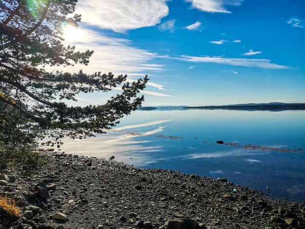 La costa del Mar Blanco con árboles en primer plano y piedras en el agua en un día soleado Karelia