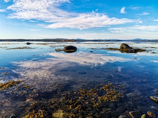 La costa del Mar Blanco en un día soleado con piedras en el agua Karelia