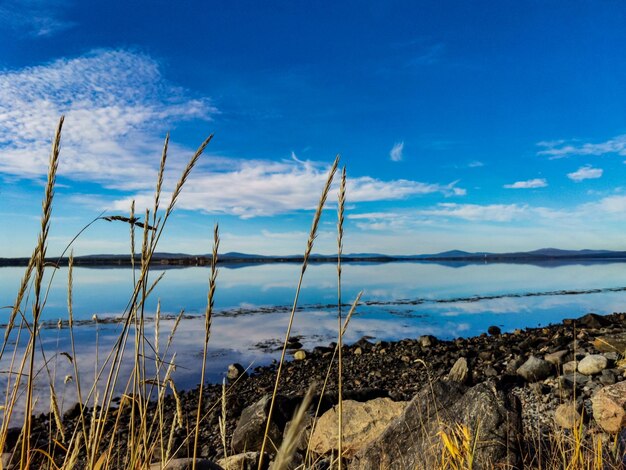 La costa del Mar Blanco en un día soleado Los rayos del sol Karelia 2021 Rusia