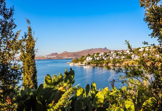 Costa del mar Egeo con maravillosas islas de naturaleza rica en agua azul, montañas y pequeñas casas blancas