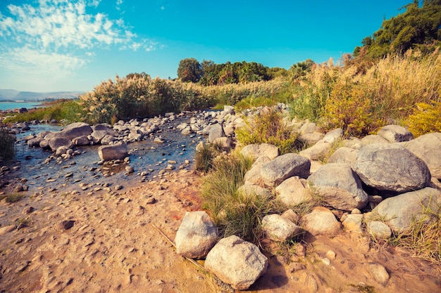 La costa del mar de Galilea cerca de la cascada de Ein Eyov en Tabgha Israel