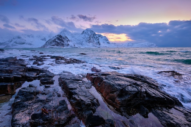 Costa del mar de Noruega en la costa rocosa en el fiordo al atardecer