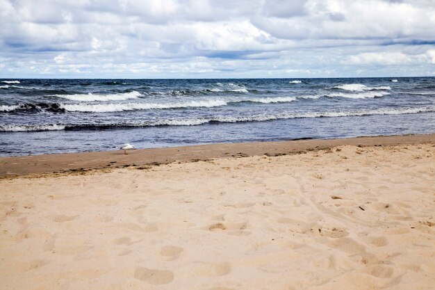 Costa marítima de agosto