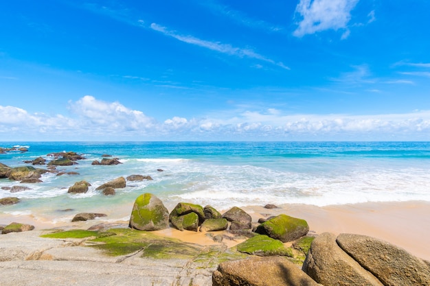 Costa del océano y arena de playa