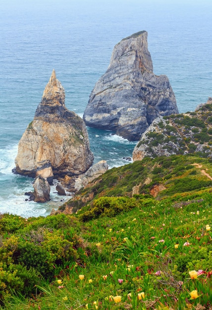 Costa del océano Atlántico (rocas de granito y acantilados) en tiempo nublado. Vista desde el Cabo Roca (Cabo da Roca), Portugal.