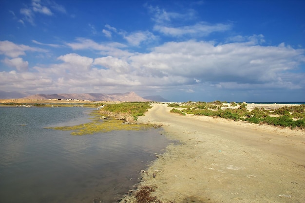 La costa del océano Índico isla de Socotra Yemen