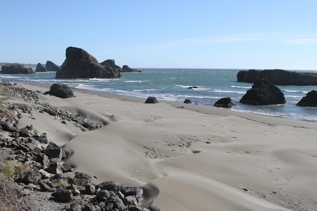 costa de oregon