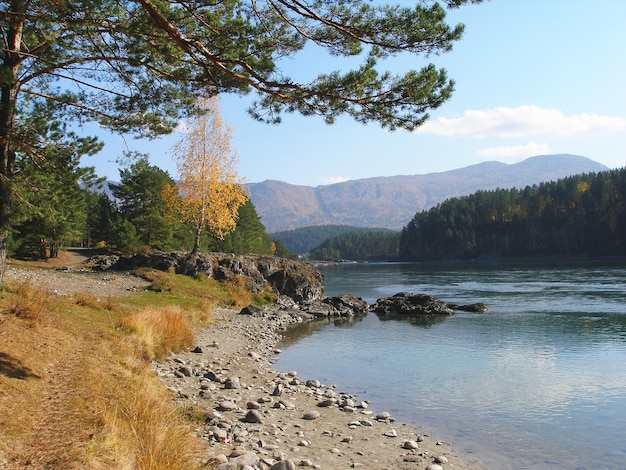 COSTA DE OTOÑO MONTAÑA ALTAI