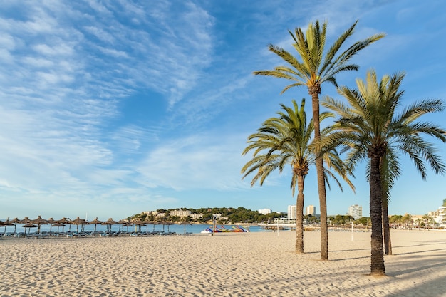 Costa con palmeras y cobertizos, Playa con palmeras