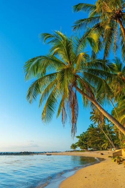 Costa con playa de arena y palmeras en una isla tropical