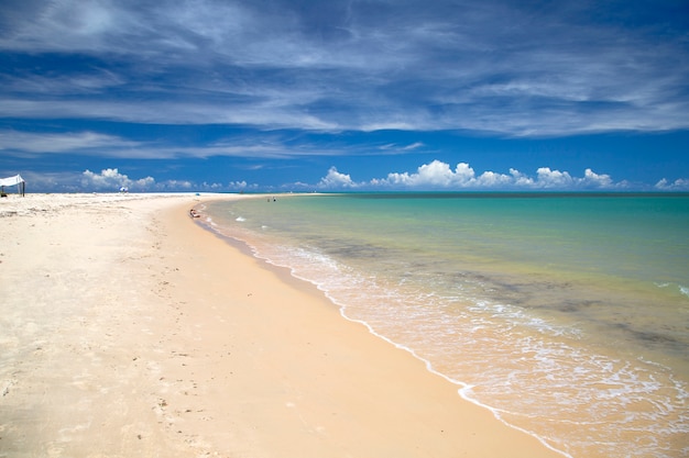 Costa de la playa brasileña en un día soleado en Corumbau,
