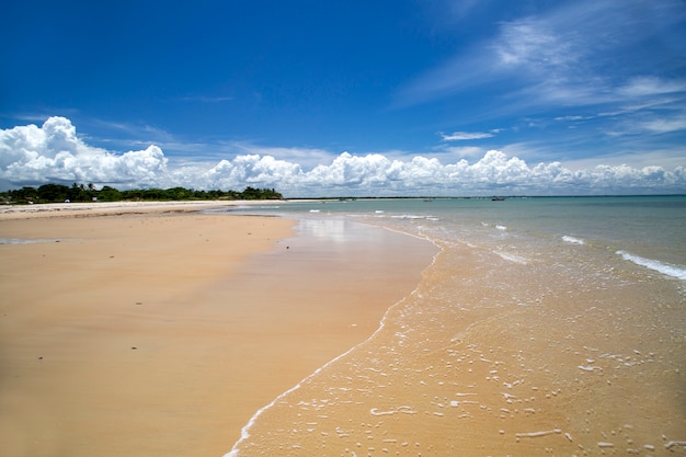 Costa de la playa brasileña en un día soleado en Corumbau,