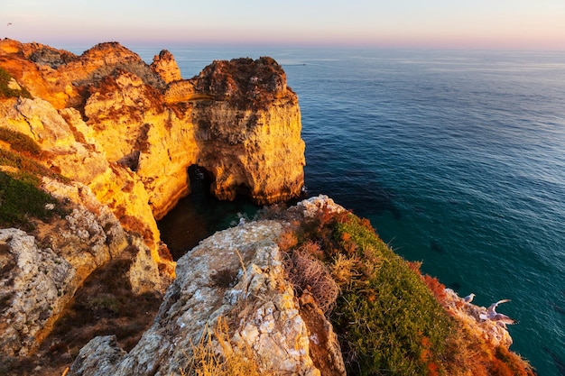 Costa de portugal