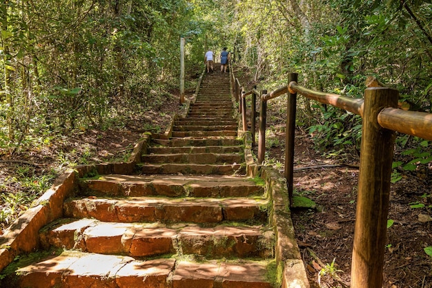 Costa Rica Mato Grosso do Sul Brasilien 12 18 2022 Wanderweg durch den Wald des städtischen Naturparks Salto do Sucuriu