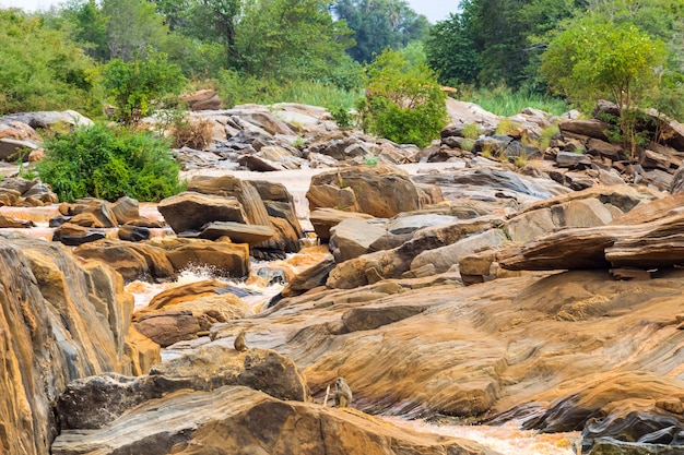 La costa del río Tana entre los parques de Meru y Cora Africa