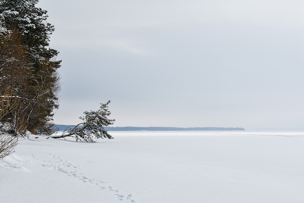 Costa del río Volga en invierno