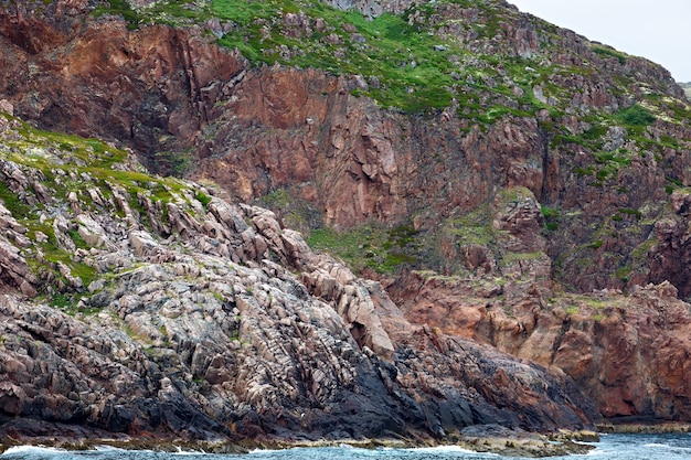 Costa rochosa de pedra O Mar de Barents, coberto de musgo e líquen
