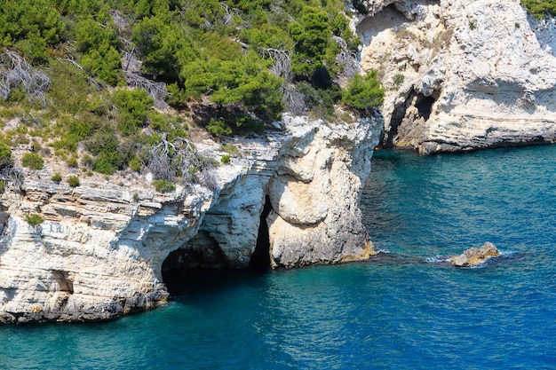 Costa rochosa do mar de verão Gargano Puglia Itália