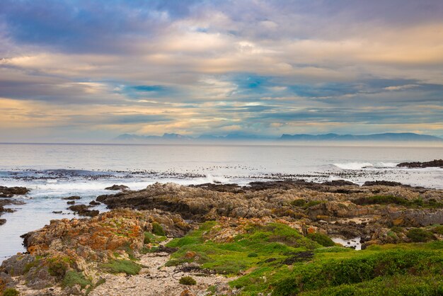 Costa rochosa no oceano em de kelders, áfrica do sul