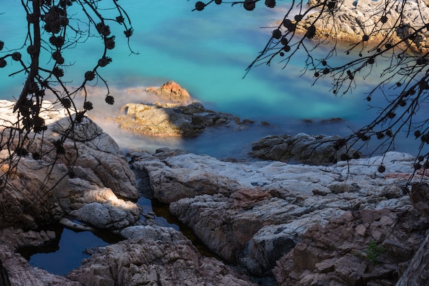 Foto costa rochosa sob ramos e água esmeralda sedosa