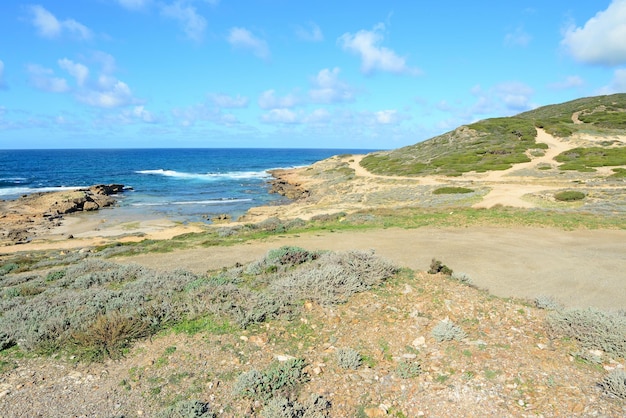 Costa rocosa en Argentiera Cerdeña