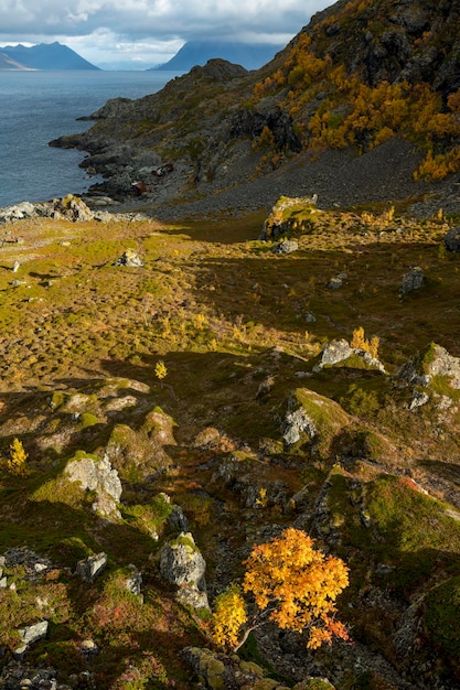 Costa rocosa contra el océano ártico durante la puesta de sol Lyngstuva Noruega