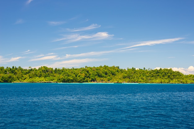 Costa rocosa cubierta por una densa y exuberante jungla verde en el colorido mar de las remotas Islas Togean