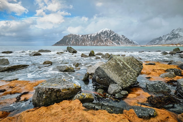 Costa rocosa del fiordo en Noruega