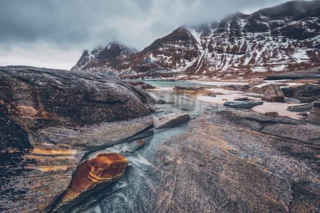 Costa rocosa del fiordo en Noruega