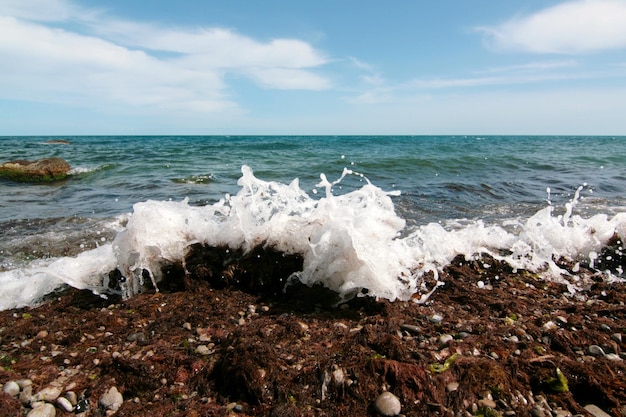 Una costa rocosa con grandes piedras en el agua