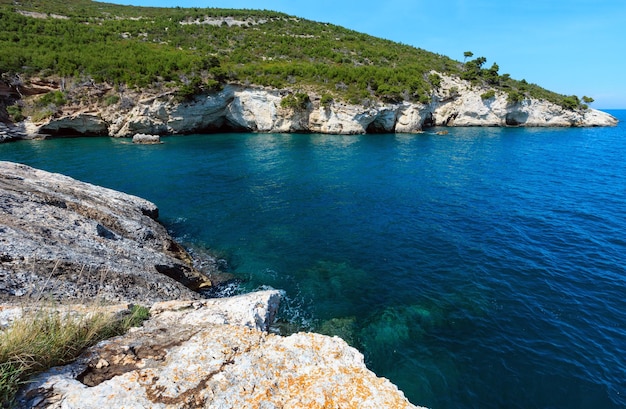 Costa rocosa de verano Gargano Puglia Italia