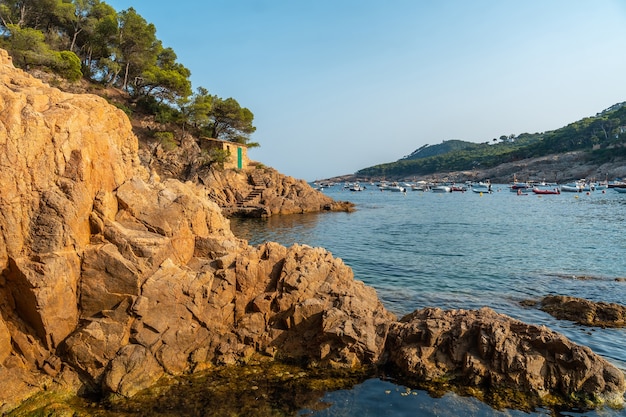 Costa de Tamariu en la localidad de Palafrugell. Girona, Costa Brava en el Mediterráneo