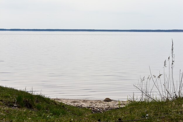 Costa de verano del río Volga