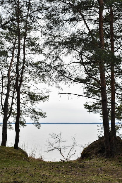 Costa de verano del río Volga