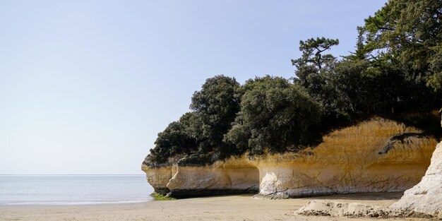 Foto costas de acantilados en la costa del mar mescherssurgironde