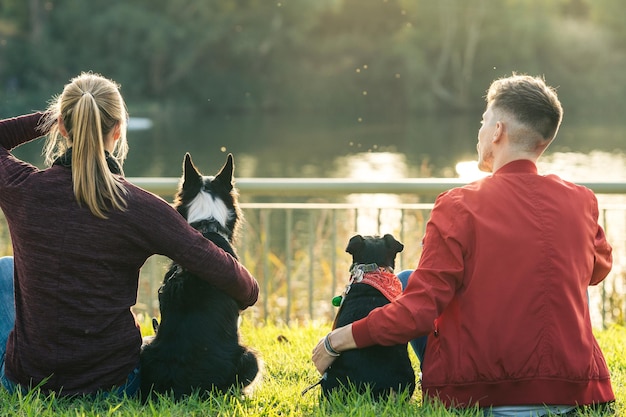 Costas de dois amigos acariciando cachorros enquanto observam um lago sentado em um parque