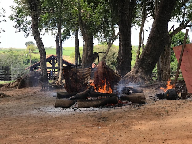 Costela de Chao Traditionelles brasilianisches Barbecue Holzgebratene Rippchen auf dem Feld