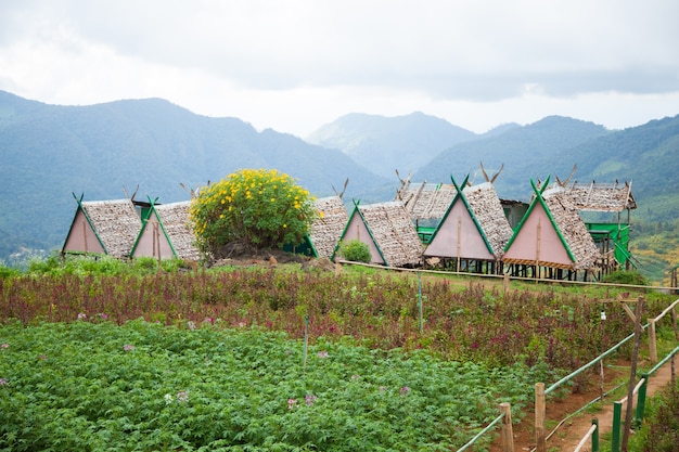 Cottage é plantada perto de áreas agrícolas.