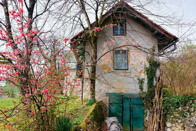 Cottage Landhaus im Dorf in der Altstadt von Celje in Slowenien. Bauarchitektur in Slowenien.
