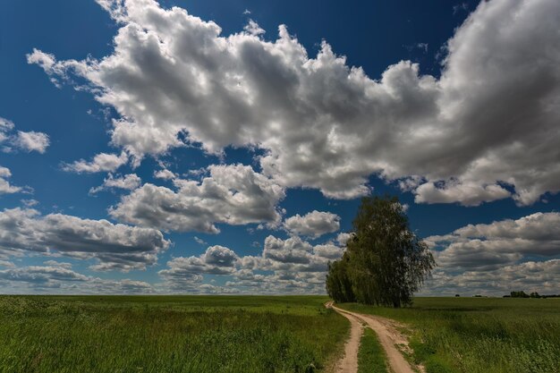 Country road verano campos verdes cielo azul con nubes blancas