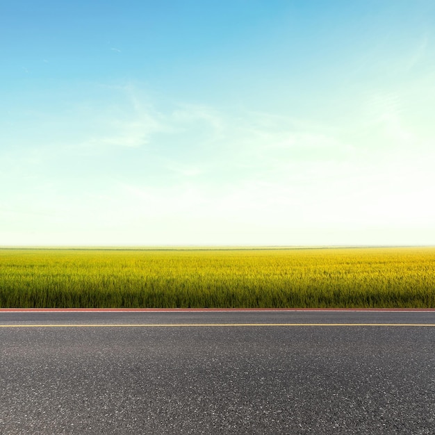country road