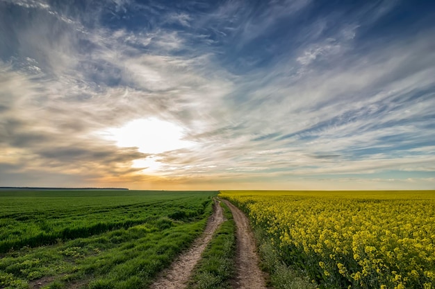 Country Road