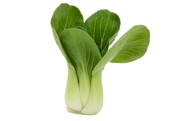 Couve chinesa Bok Choy fresca isolada no fundo branco.