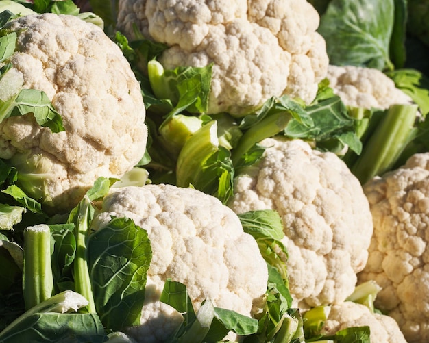 Couves-flores maduras frescas em um mercado de agricultores