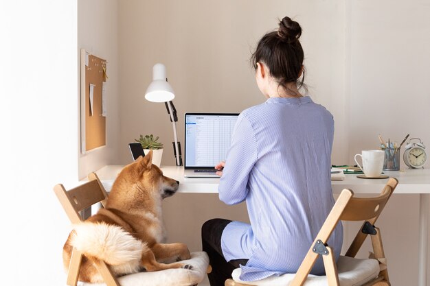 Covid-19 auto-isolamento e conceito de trabalhar em casa. Mulher usando laptop, cachorro Shiba Inu perto dela