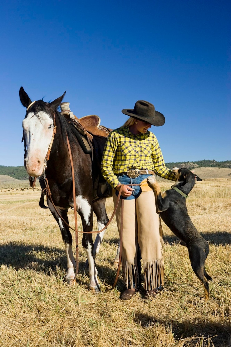 Foto cowgirl com cavalo e cachorro oregon eua