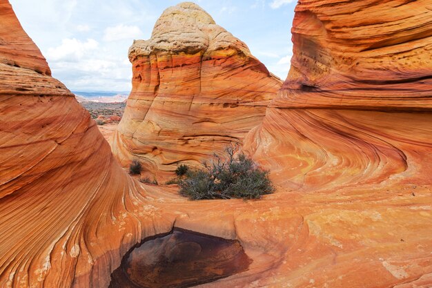 Coyote Buttes del área silvestre Vermillion Cliffs, Utah y Arizona