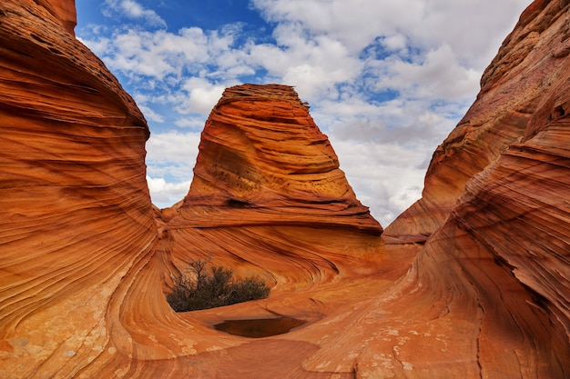 Coyote Buttes del área silvestre Vermillion Cliffs, Utah y Arizona