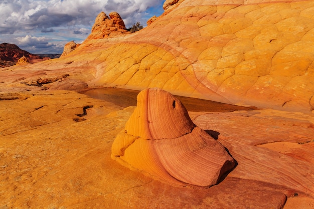 Coyote Buttes del área silvestre Vermillion Cliffs, Utah y Arizona